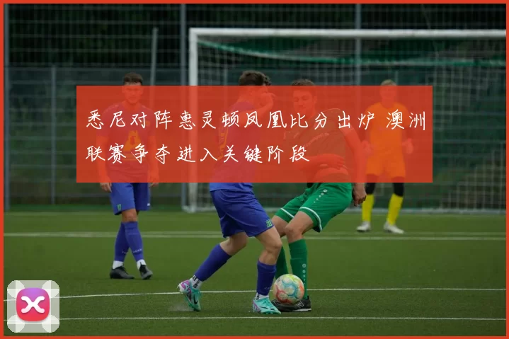 悉尼对阵惠灵顿凤凰比分出炉 澳洲联赛争夺进入关键阶段